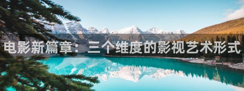 久久视频二区