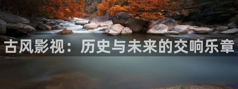 国内精品久久免费视频