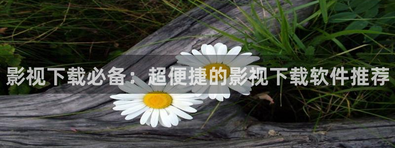 玖玖+99+久久免费视频