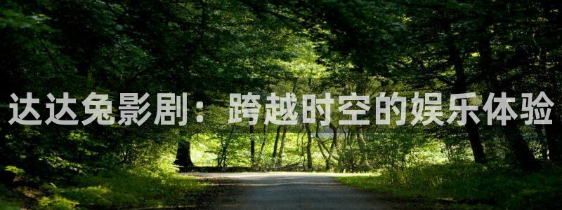 久久久久手机视频