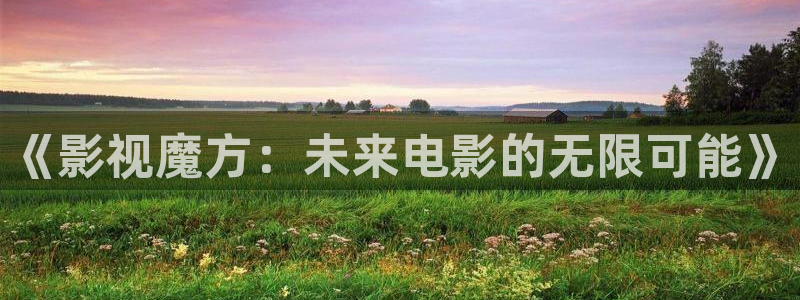 国产精品久久视频