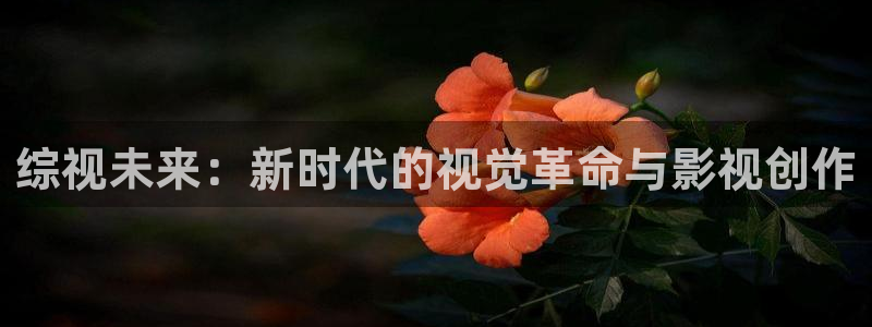 久久久在线影院免费观看电视剧大全