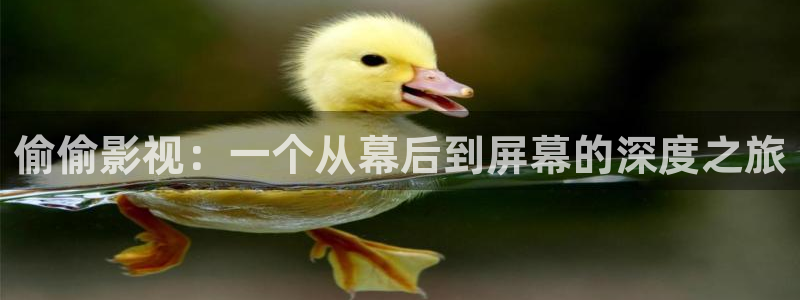 久久精品视频99
