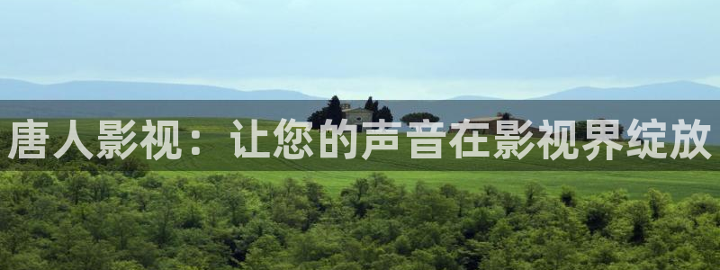 米奇影视777久久：唐人影视：让您的声音在影视界绽放